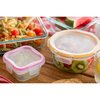 Snapware Total Solution 4 cups Clear Food Storage Container 1109306